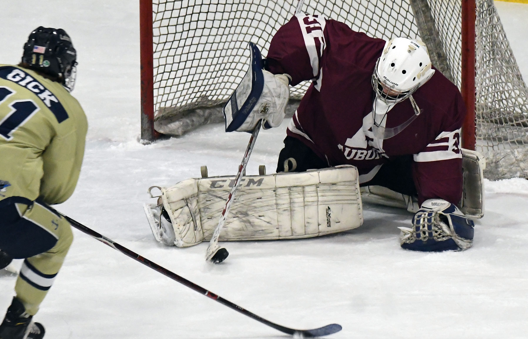 Auburn Skaneateles Hockey 2.JPG